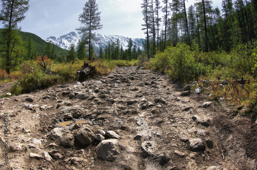 Extreme rocky dirt road in a mountain valley among cedar trees forest on the background of snowy mountain ranges Aktru Altai Mountains, Siberia, Russia