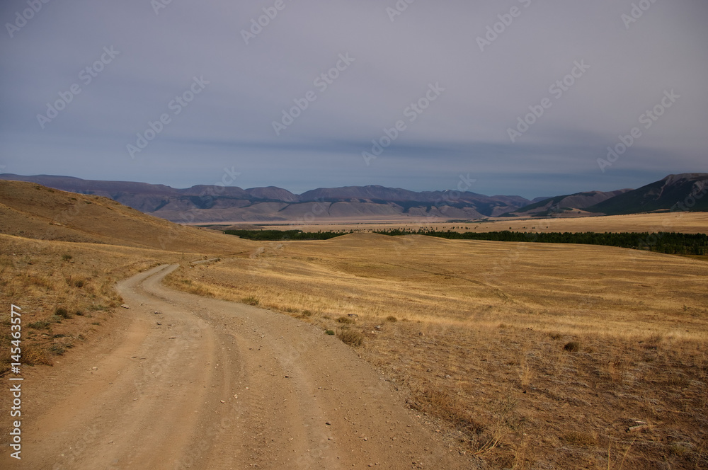 Road through a dry desert steppe on a highland mountain plateau with yellow grass with ranges on a horizon, Kurai, Altai, Siberia, Russia
