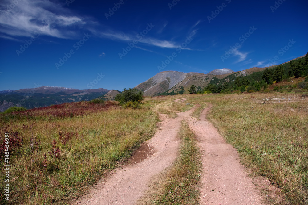 Road path on a desert wild mountain valley with the orange yellow dry grass at the background of the hills under a blue sky with white clouds, Plateau Ukok, Altai, Siberia, Russia