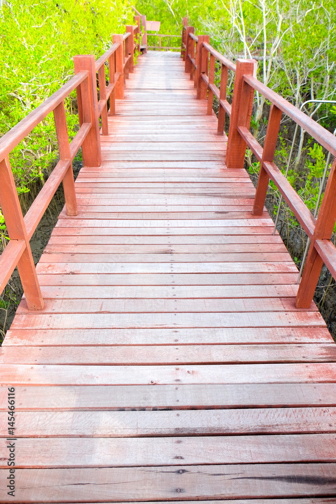 Natural beautiful scene of wooden bridge walkway