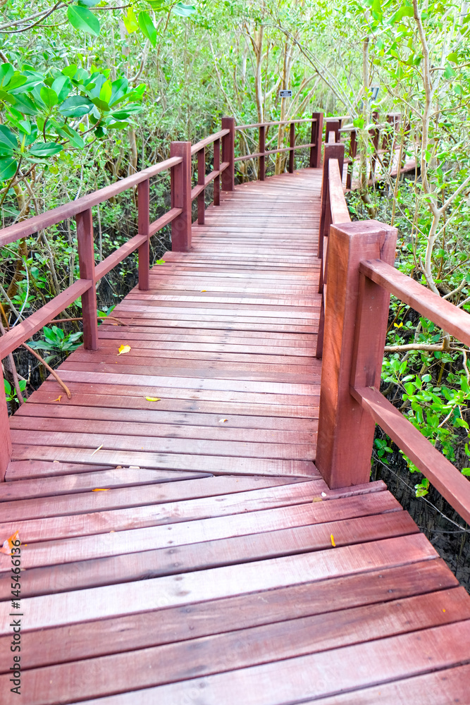 Obraz premium Wooden bridge walkway in mangrove forest