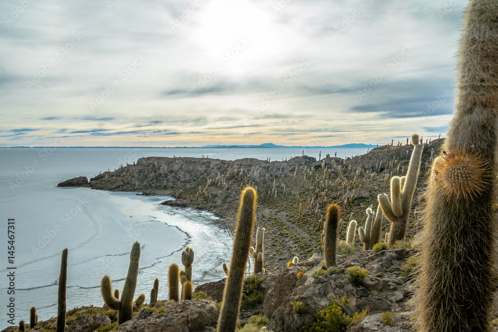 Incahuasi Cactus Island in Salar de Uyuni salt flat - Potosi Department, Bolivia Incahuasi Cactus Island in Salar de Uyuni salt flat - Potosi Department, Bolivia