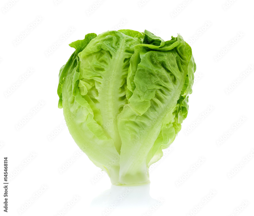 baby cos (lettuce) on white background baby cos (lettuce) on white background