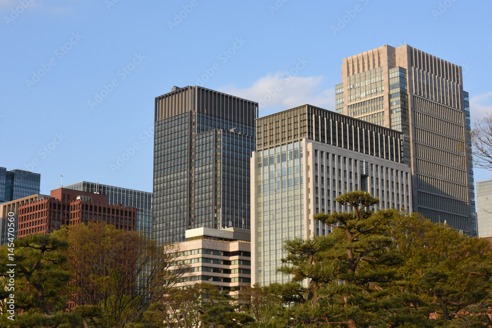 日本の東京都市景観と青空