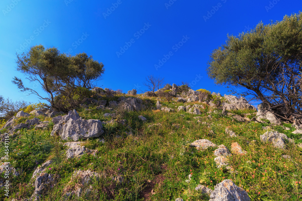 Fototapeta premium Hiking in the lovely green spring hills if Sicily in April