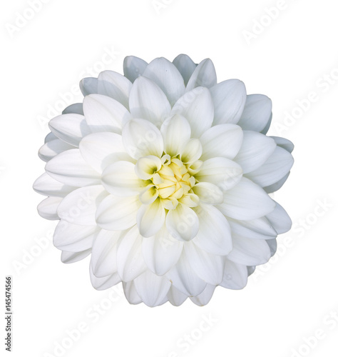 White flower © Imaking