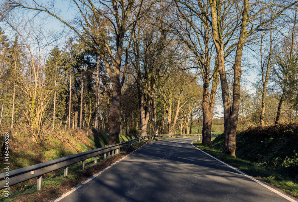 morgens im Frühling auf einer Chaussee morgens im Frühling auf einer Chaussee
