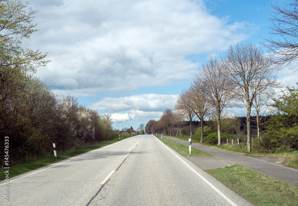 Fototapeta premium frühling auf der landstrasse bei blauen himmel