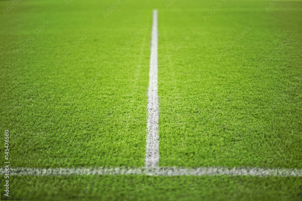 Football green field with white lines.