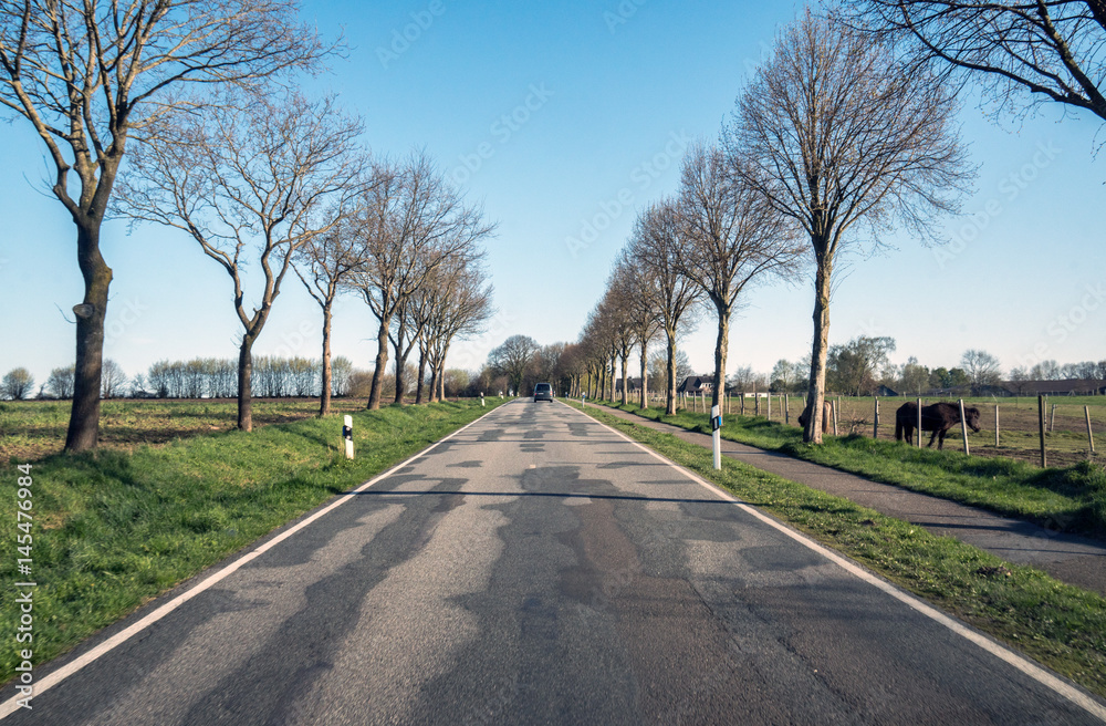 im Frühling auf der Strasse an einer alle