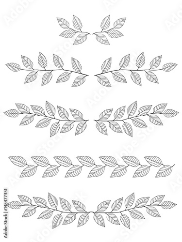 set of branches dividers
