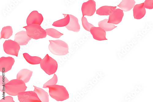 Falling rose petals bright pink blossom. Sakura cherry flying flowers. 3d realistic design. Vector illustration