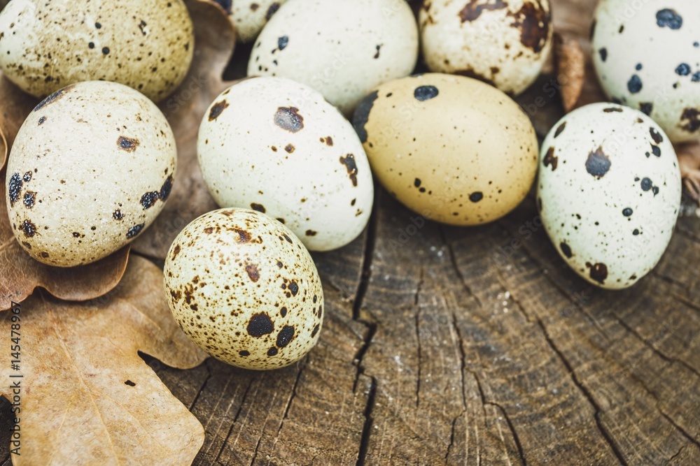 Group of quail eggs and oak leafs on wooden surface . Natural healthy food concept. Group of quail eggs and oak leafs on wooden surface . Natural healthy food concept.