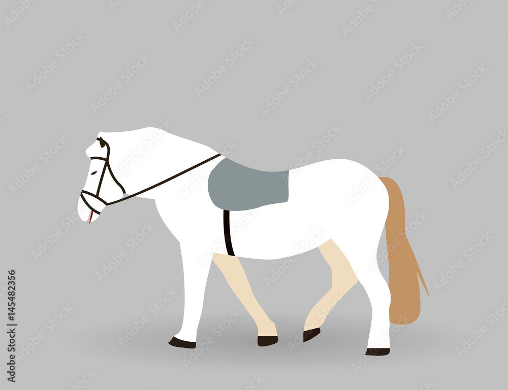 White horse on Gray Background. Vector Illustration. White horse on Gray Background. Vector Illustration.