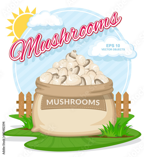 Mushrooms in burlap sack. Full sacks with fresh vegetables. Bag with harvest on the summer garden