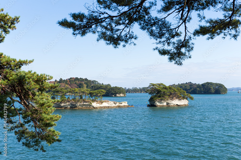 Matsushima in sunny day