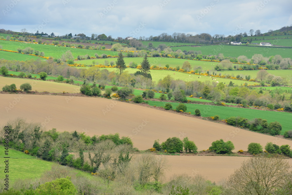 The lush arable Farmland of Ireland in springtime.