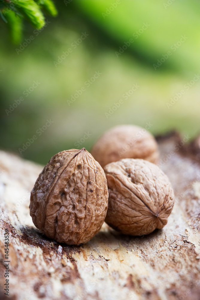Walnuts in natural background. Nutshell Walnuts in natural background. Nutshell