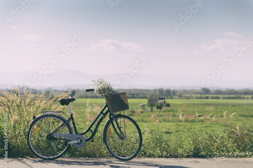 Bicycle and nature.