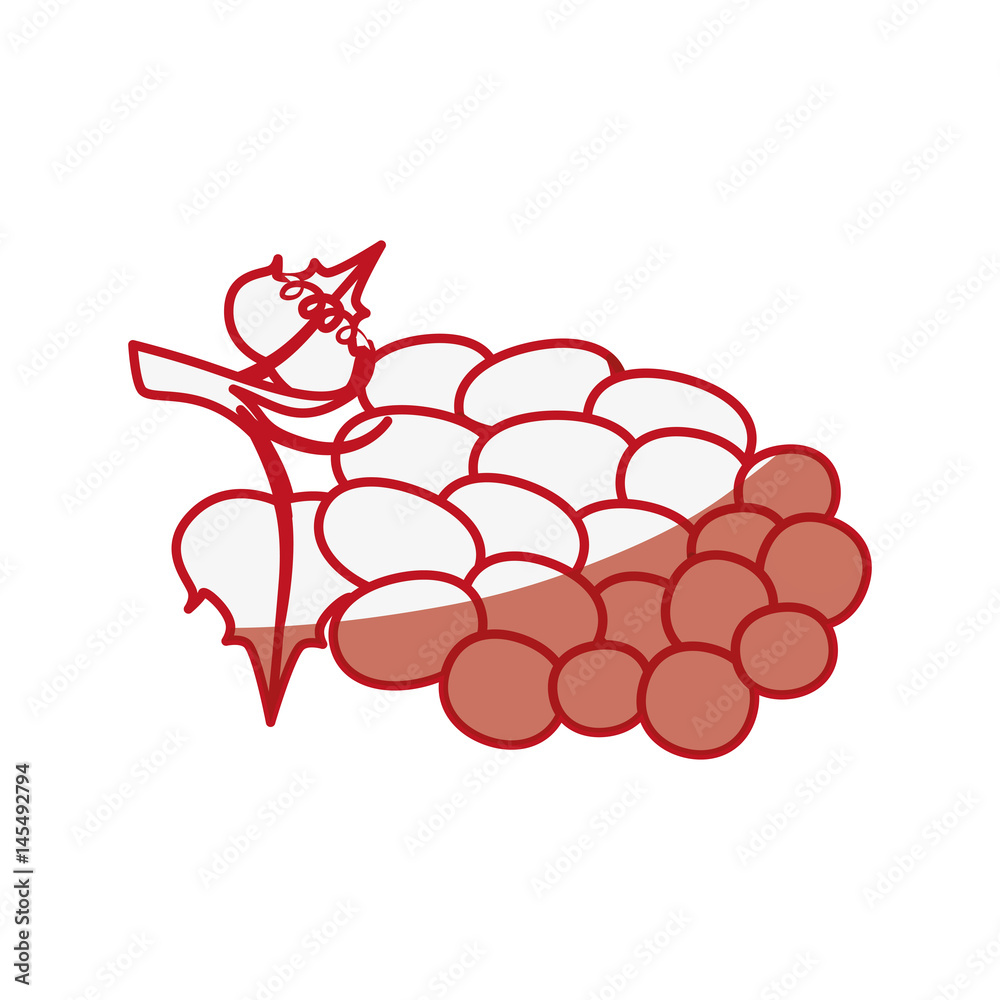 Delicious grapes fruit icon vector illustration graphic design Delicious grapes fruit icon vector illustration graphic design
