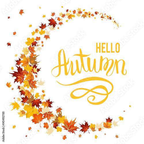 Beautiful autumn leaves