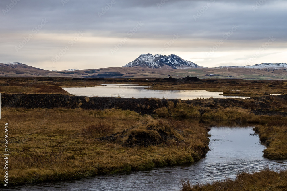 Island - Landschaft zwischen Selfoss und Seljalandsfoss