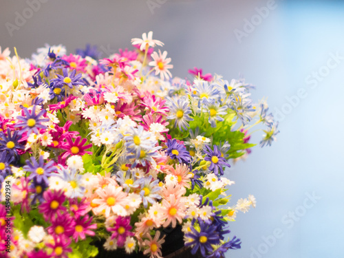 Colorful flower decor with blank copy space