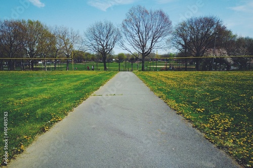 Path beteween green meadows