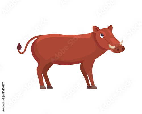 graphic illustration of boar cartoon style