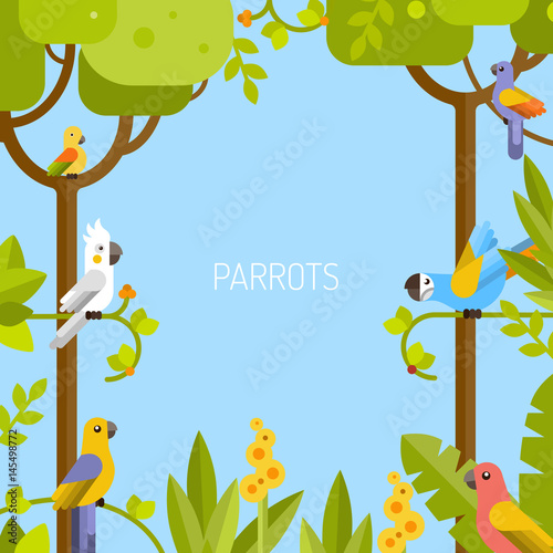 Beautiful tropical background. Jungle, parrots. Vector flat illustration.