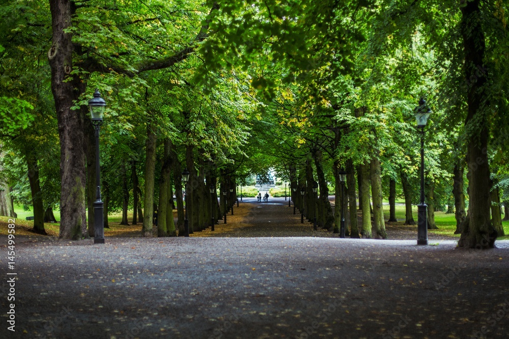 walk in the park walk in the park