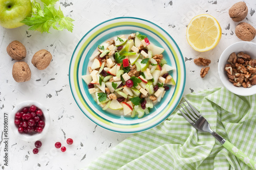 Waldorf Salad / Delicious Waldorf Salad with apple, walnut, celery, cheese and dried cranberries on white rustic background