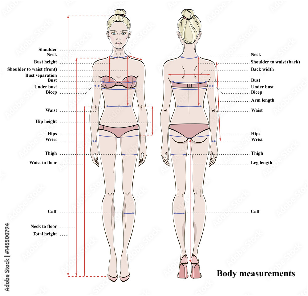 Woman body measurement chart. Scheme for measurement human body for sewing  clothes. Female figure: front and back views. Vector. Stock Vector