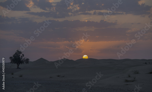The dawn of the sun in the desert