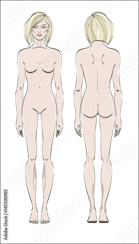 Female figure: front and back. Vector. Human body in linear style.