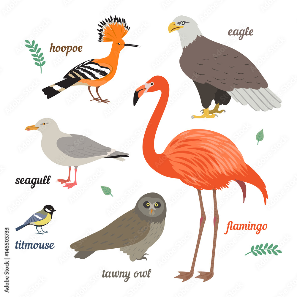 Fototapeta premium Set of birds. Vector illustration of different colorful birds. Flamingo, seagull, american eagle, titmouse, grey owl and hoopoe. Isolated on white background. Flat design.