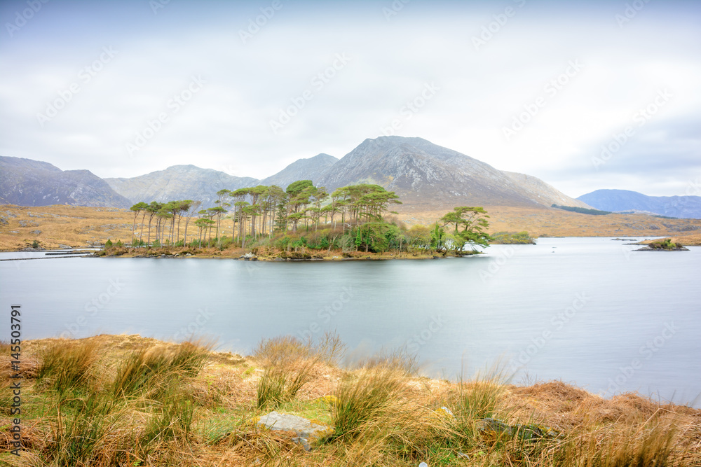 amazing landscape of connemara national park, Ireland