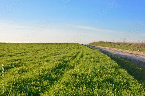 Spring landscape with vibrant green fields  blue cloudless sky and a waving rural road in perspective.