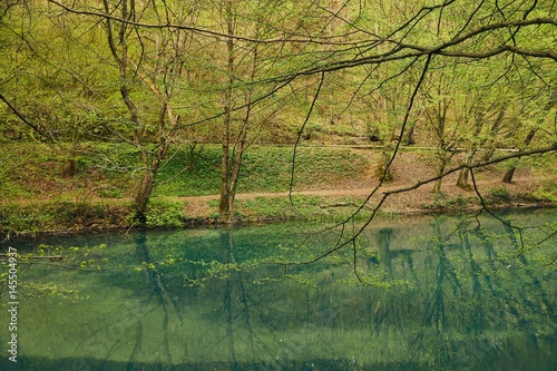 Small lake with trees photo