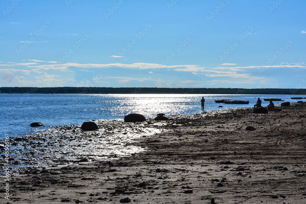 Fototapeta premium Shine of the river. River surface. Summer