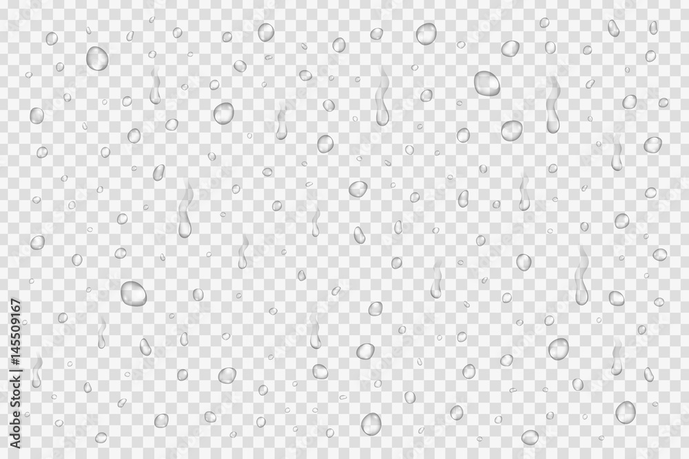 Vector set of realistic water drops on the transparent background. - obrazy, fototapety, plakaty 
