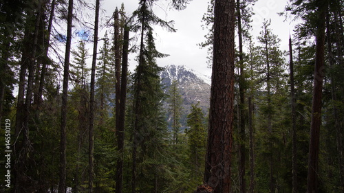Exploring Washington State