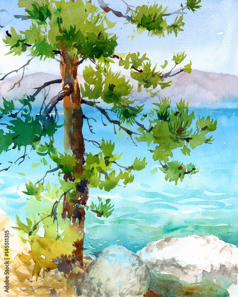 Obraz premium Watercolor Pine Tree with a Beautiful Teal Blue Lake Tahoe and Mountains on the Background Hand Painted Nature Landscape Illustration