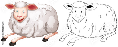 Fototapeta Naklejka Na Ścianę i Meble -  Doodle animal character for sheep