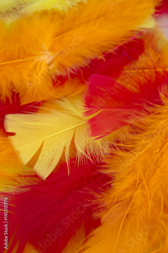This is a photograph of Yellow,Red and Orange craft feathers background