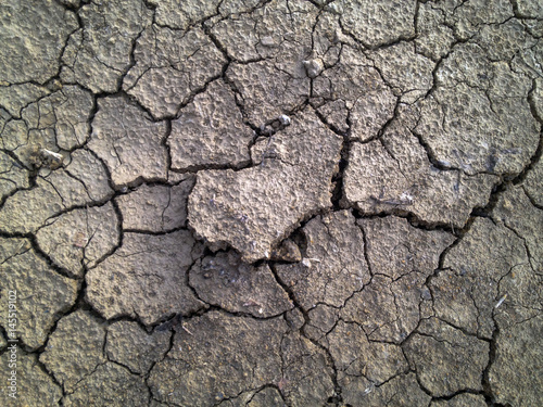 Crack soil on dry season