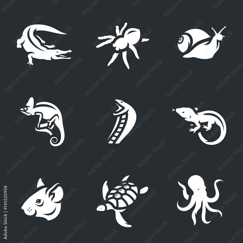 Vector Set of Fauna Icons.