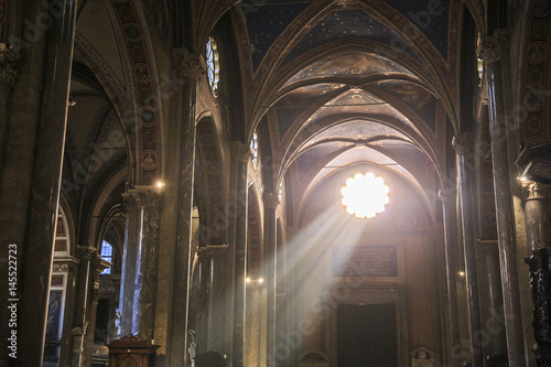 Interior of Santa Maria sopra Minerva in Rome  Italy