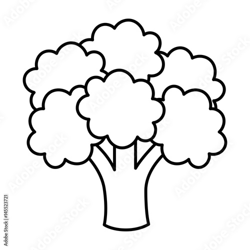 broccoli vegetable icon over white background. vector illustration