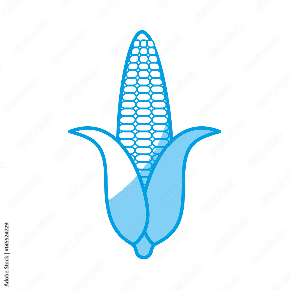 corn vegetable icon over white background. vector illustration corn vegetable icon over white background. vector illustration